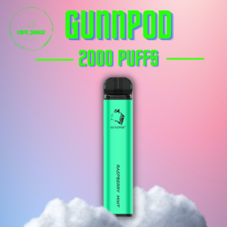 GUNPOD 2000 ZERO RASPBERRY MINT