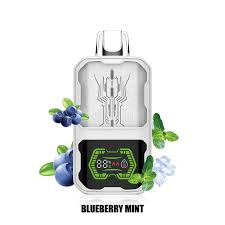 AKCIA ELF WORLD 22000 BLUEBERRY MINT 5% AKCIA